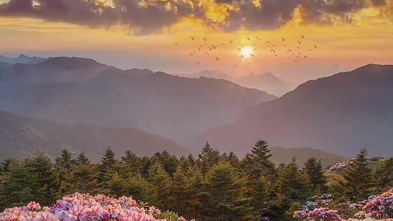 Nature Beauty
