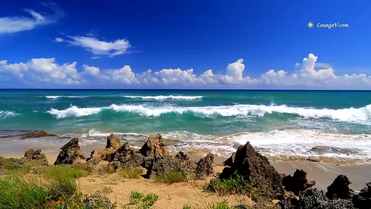 Tropical Ocean HD 1080p Video with Beach Sounds