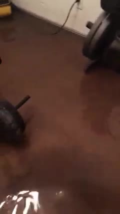 2nd Flooding August 13, 2021 another room same property. Commercial and residential affected