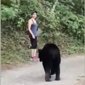 QUANDO O GUIA DIZ QUE A TRILHA É SEGURA #curtos #videoscurtos