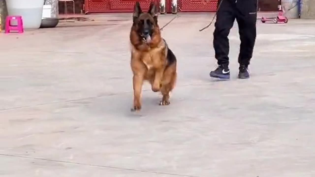 Good video