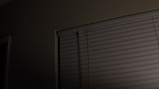 Spiders Fighting
