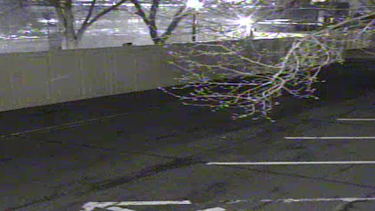 0692QNE001st-ConNE_2021-01-04_23h40min01s507ms.mp4