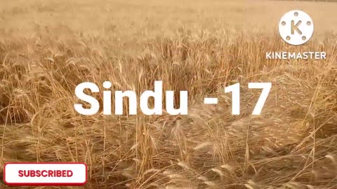 Wheat verities for SINDH سنڌ لاءِ ڪڻڪ جو قسم