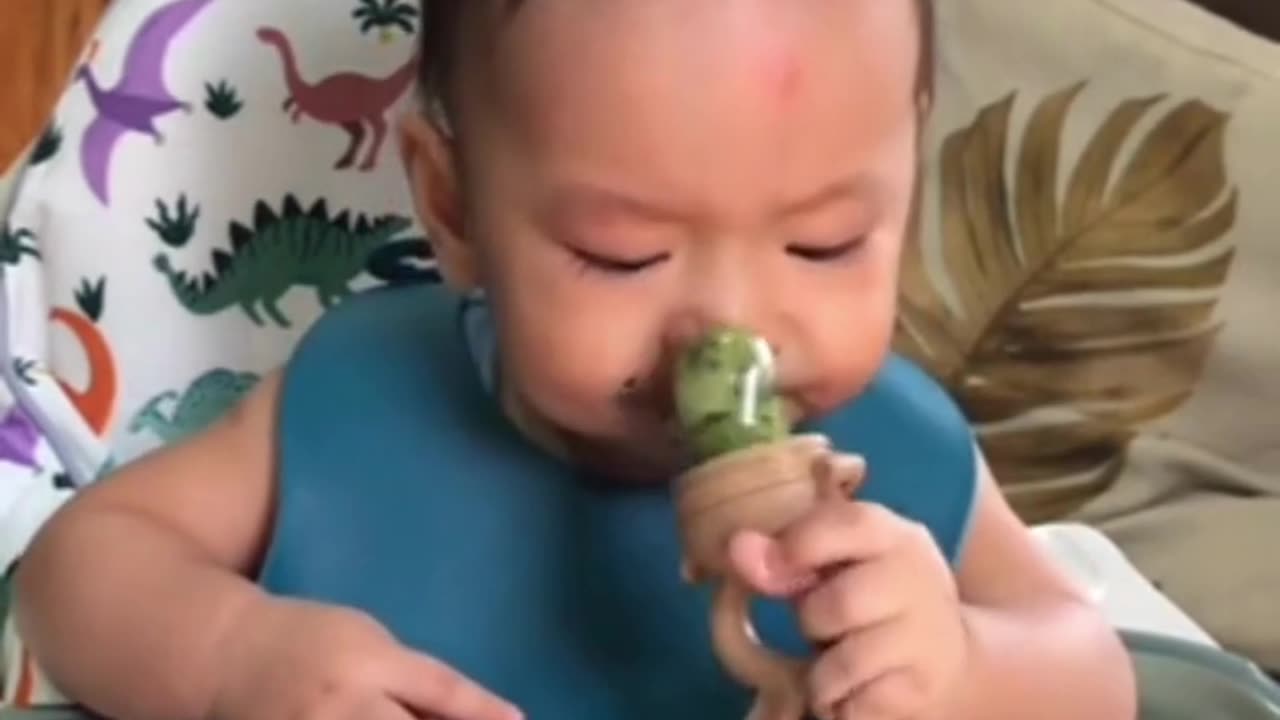 Kiwi Tasting Delight