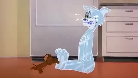 Tom and Jerry cartoon