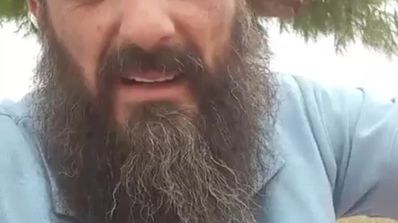 המחילה של הארנב כל כך עמוקה מיום ליום נגלה כמה !!!!!! | משה דניאל שלמה בוריסוב