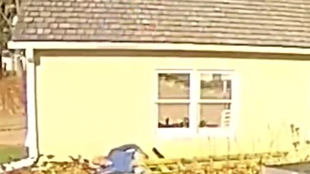 Best Fails