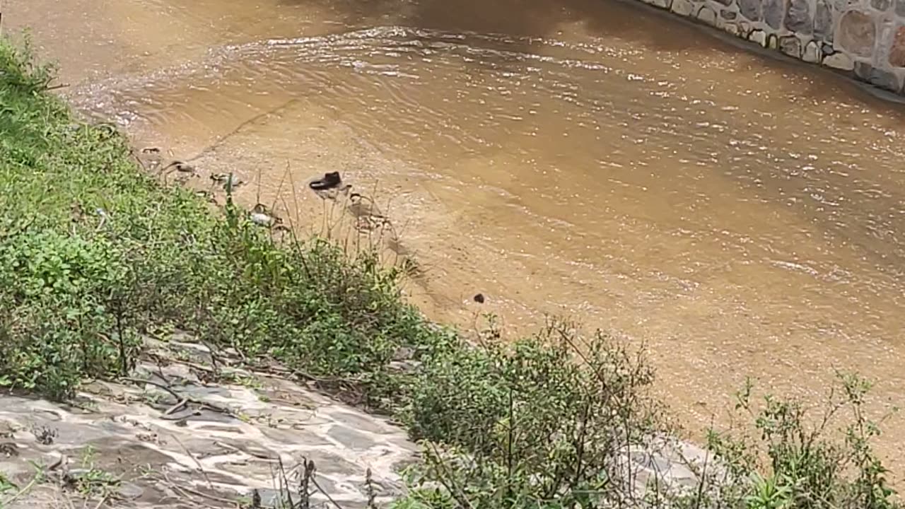 Green water flow