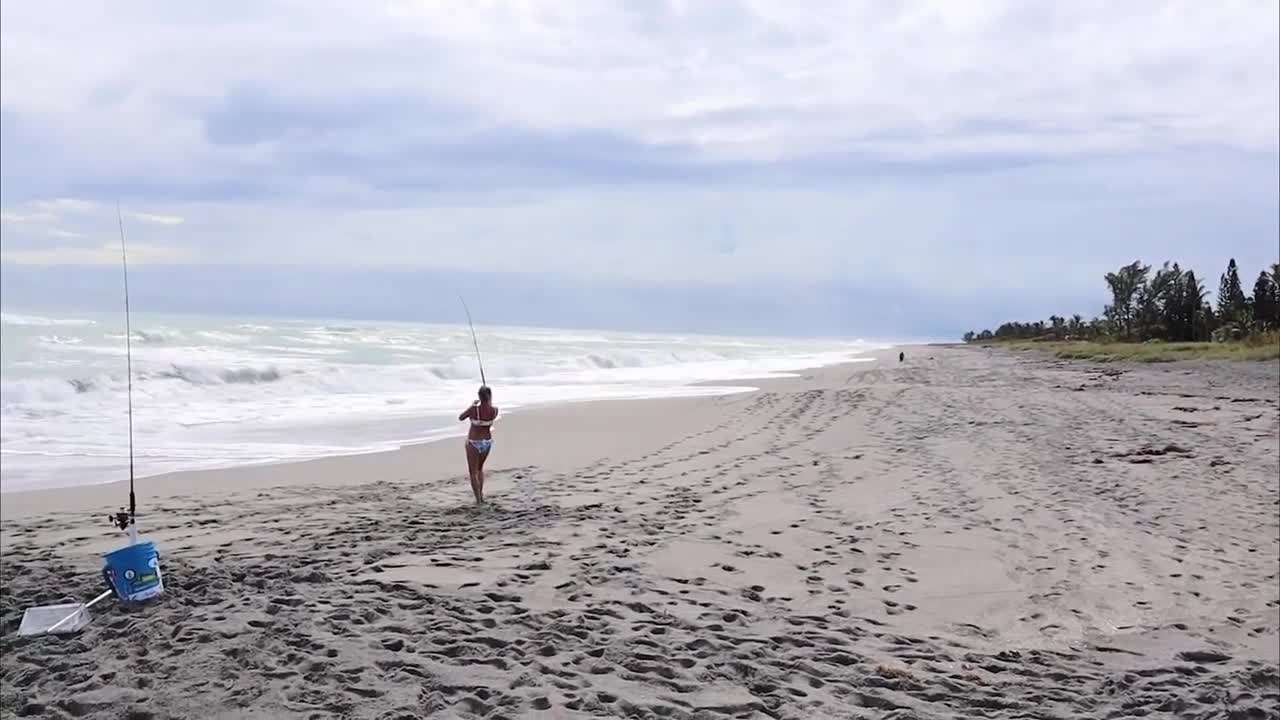 Tried all the weird things but never sand crab