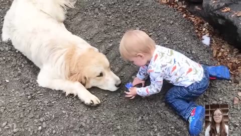 Adorable babies playing with dog compilation