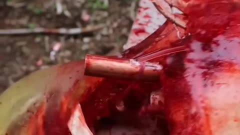 Destroyed by .50 BMG exploding ammunition