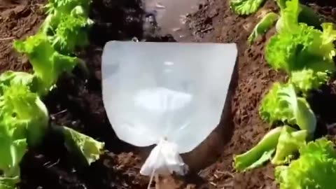 Great idea for green house