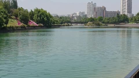 Tour of A Park in Santiago, Chile 🌳🇨🇱