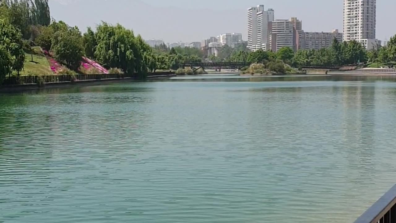 Tour of A Park in Santiago, Chile 🌳🇨🇱