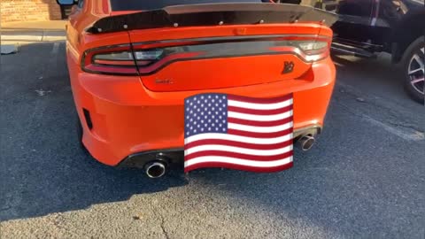 Dodge Charger by Jack the Irish wolfhound