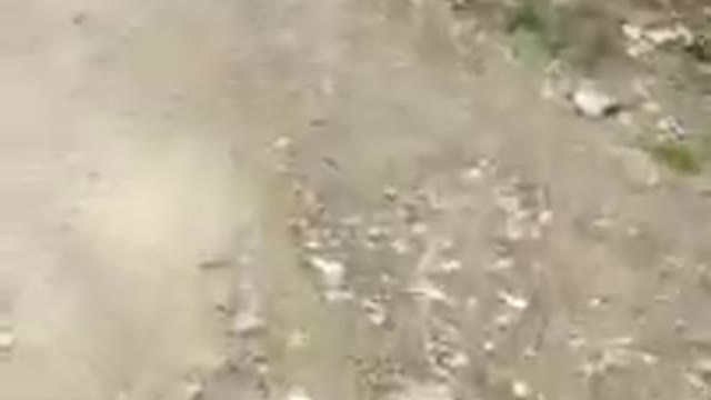 MORTI DI FIGA FALSI COME GIUDA - Pietro Bisanti 30/05/2022