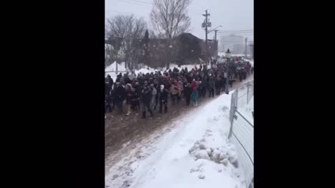 Freedom Truckers Called Fringe By Trudeau, Here's The Video Evidence Showing He's A Liar