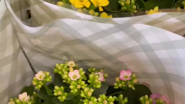 small pink flowers