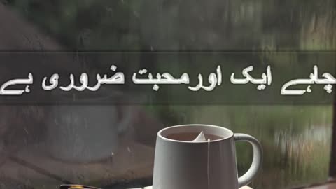 khud ko jeenay ki tasalli #poetry #emotional