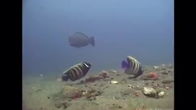 Time with God - September 4