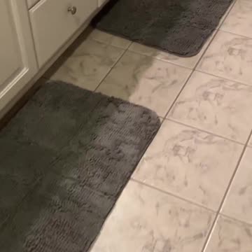 OLANLY Bathroom Rugs 30x20, Extra Soft Absorbent Chenille Bath Rugs, Rubber Backing Quick Dry