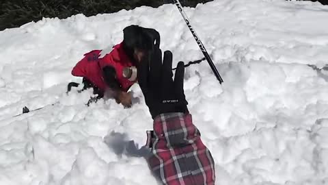 Crusoe the Avalanche Rescue Dachshund!