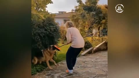 Funniest Animals New Funny Cats and Dogs Videos - Ep.23