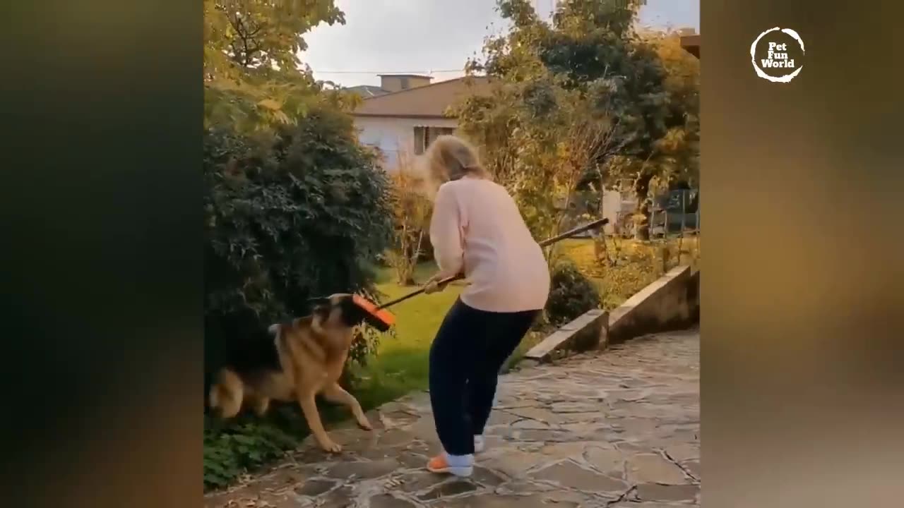 Funniest Animals New Funny Cats and Dogs Videos - Ep.23