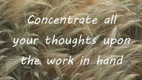 Daily Motivation day 3