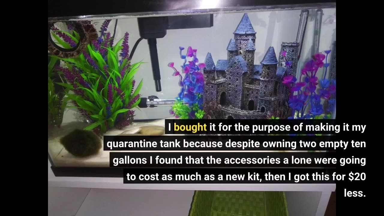 Aqueon #Aquarium Fish Tank Starter Kit with LED-Overview