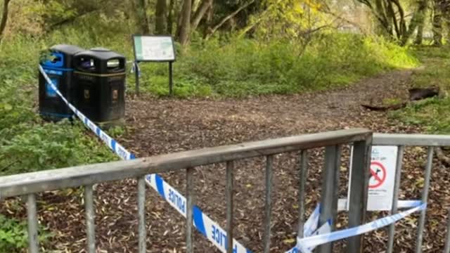 Boys, aged 14, among three arrestsafter 17-year-old stabbed near Cambridge nature reserve