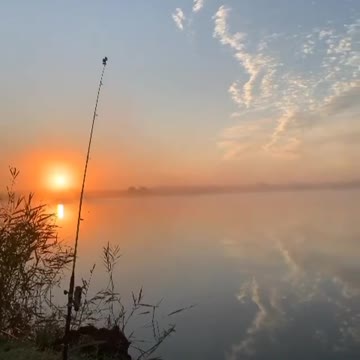 HAVEN ON EARTH 🔥🔥🔥🐟🎣