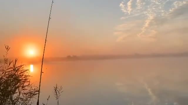 HAVEN ON EARTH 🔥🔥🔥🐟🎣