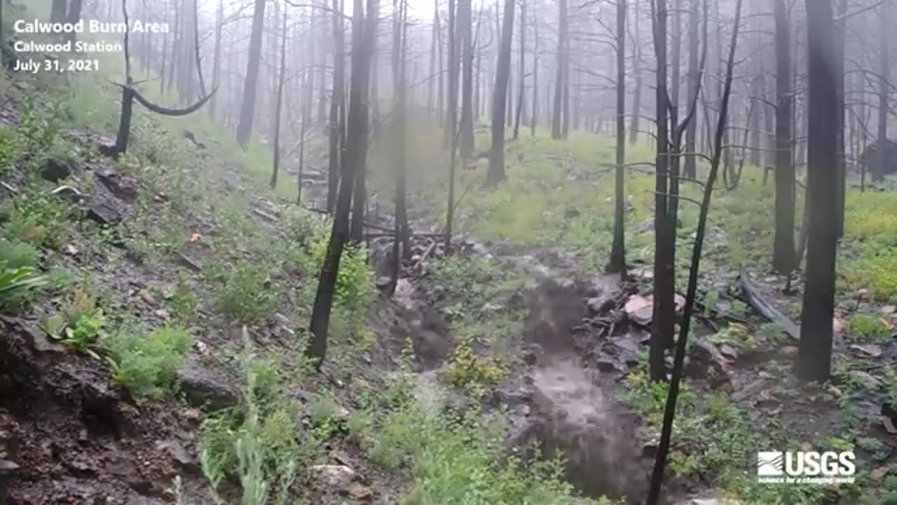 Battling the Elements in a Wildfire"