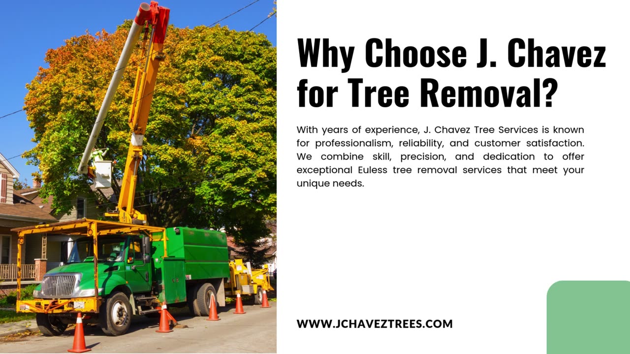 Safe and Reliable Euless Tree Removal Services