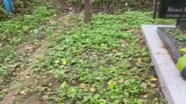 Morții mei, va pomenesc in rugăciunile mele