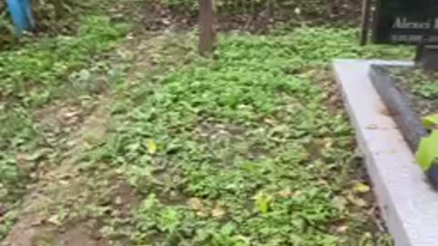 Morții mei, va pomenesc in rugăciunile mele