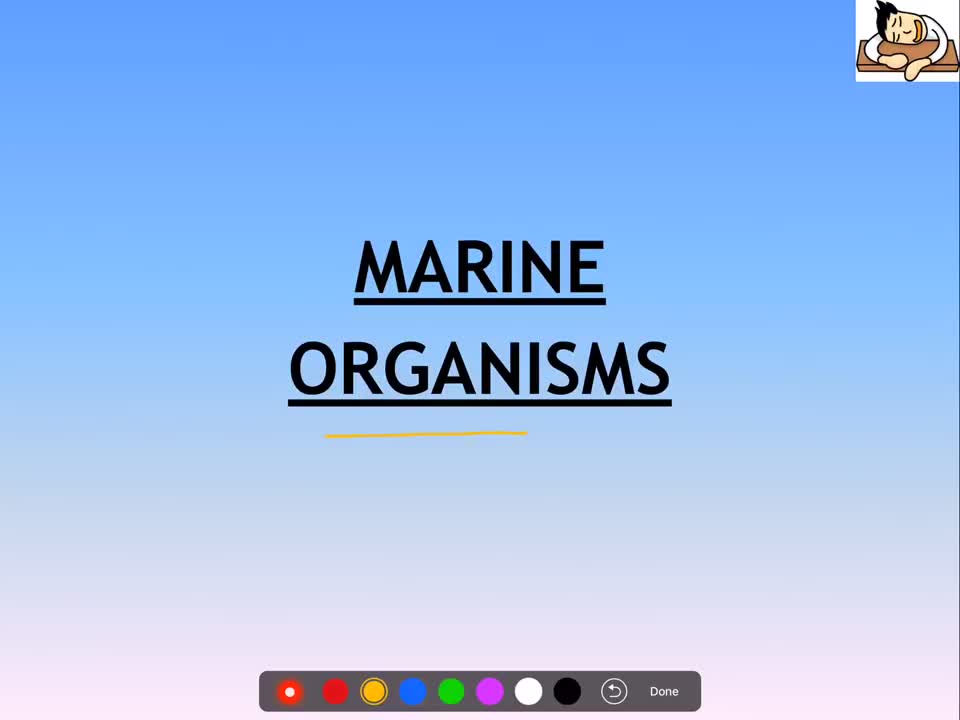 Environment and Ecology Lecture 9.1 - Marine Organisms