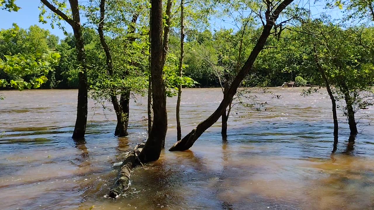 Cape Fear River @ 6.8ft and 8100 cfs