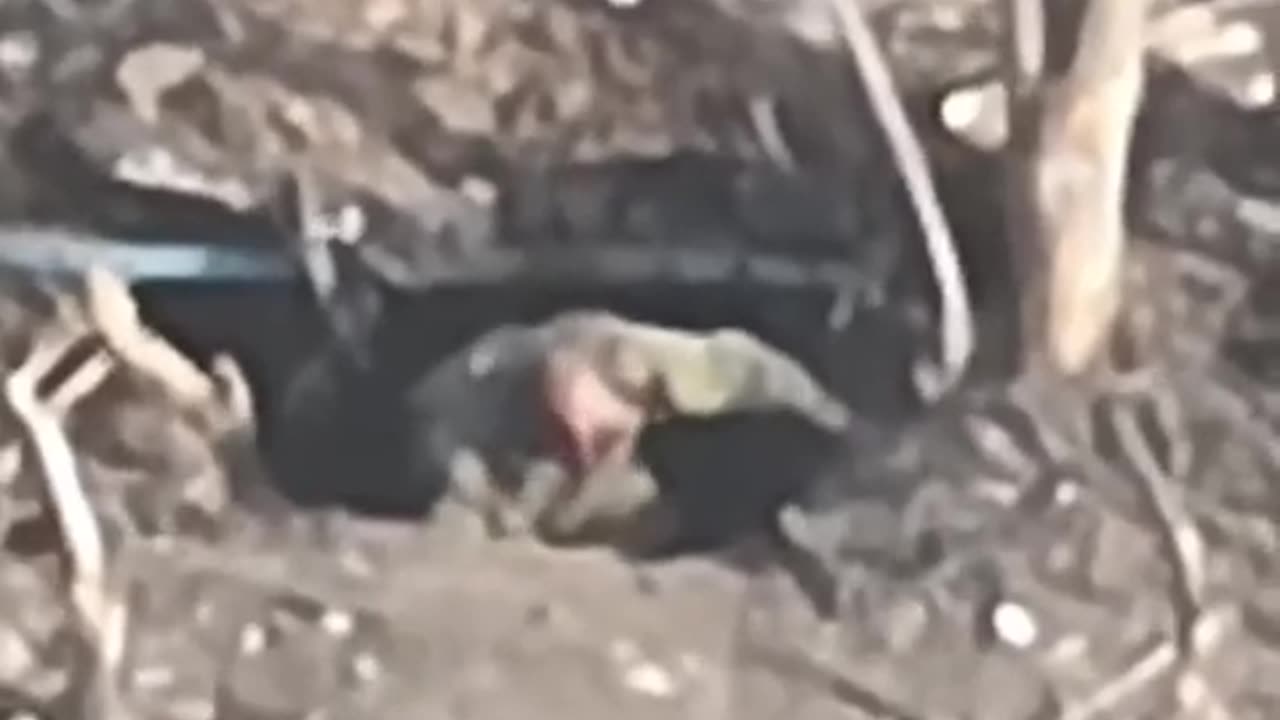 🛸 Ukraine Russia War | FPV Kamikaze Drone Injures Russian Soldier in Dugout (TERRA Unit, 3rd A | RCF