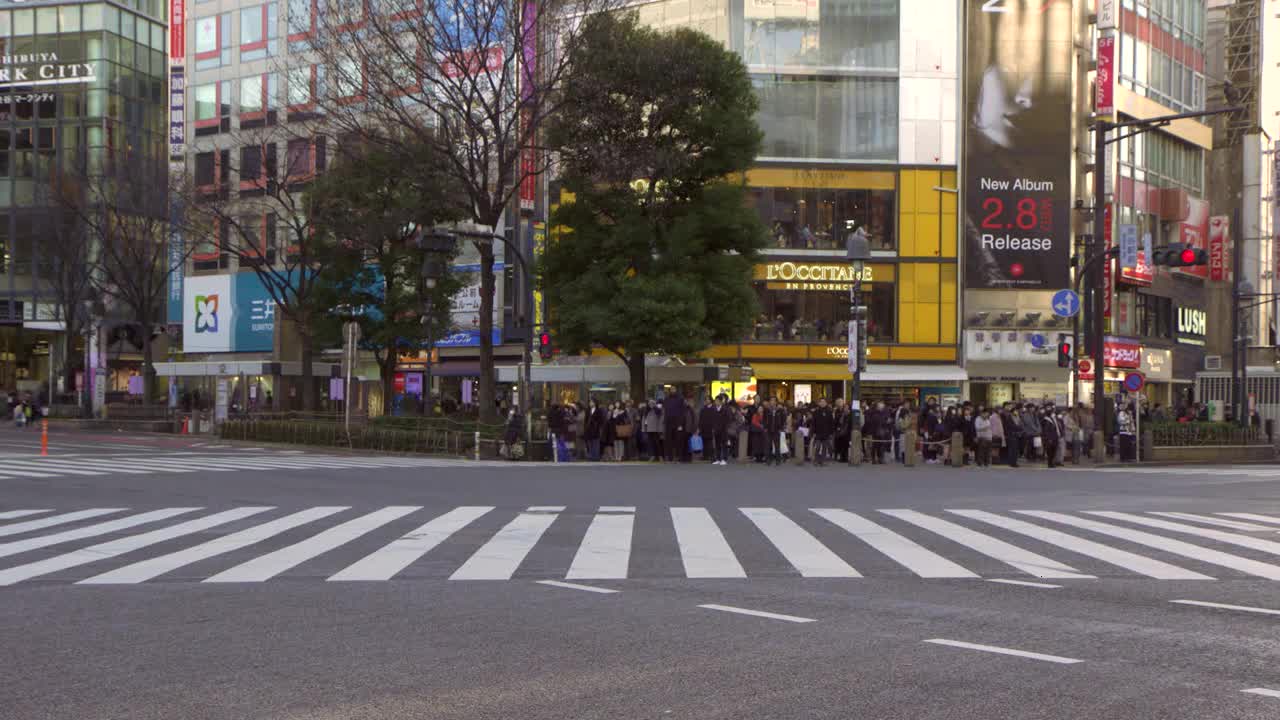 Timelapse at a Busy Intersection in Tokyo