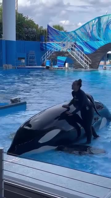 This big baby likes his back rubbed