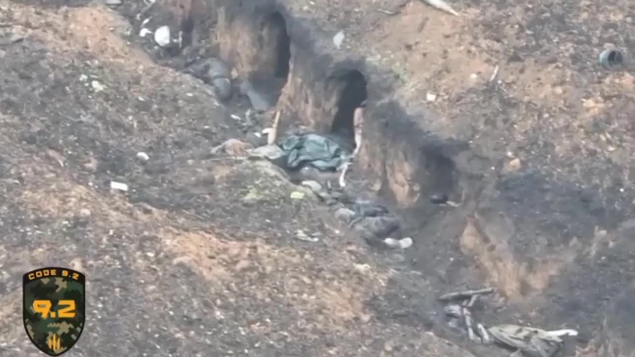 Russian breeds like rabbits in the trenches