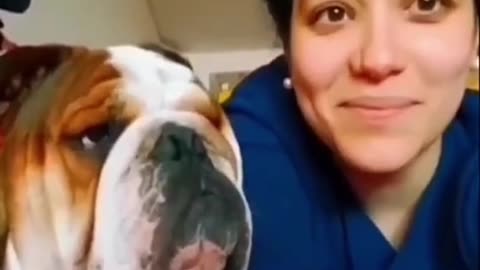 🐾🤣 Animal Antics: The Funniest Pets on the Planet! 😆 Part 18