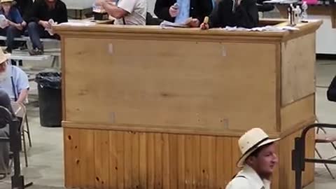 11 yr old auctioneers at Middlefield Ohio standardbred driving horse sale. May 28 2022