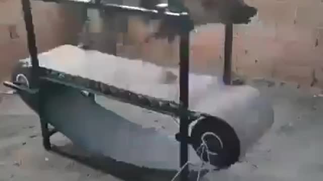Dog Making Electric