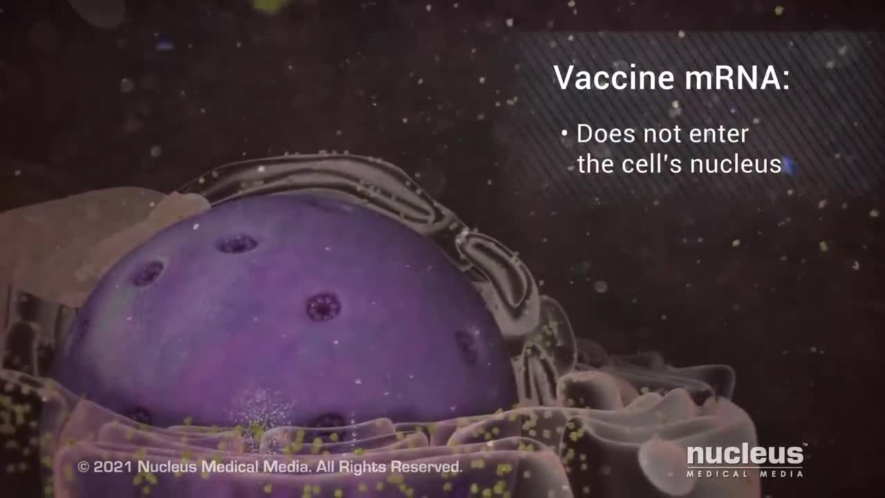 COVID-19 mRNA WILL IT CHANGE MY DNA