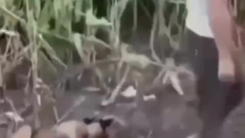 Funny videos 😅