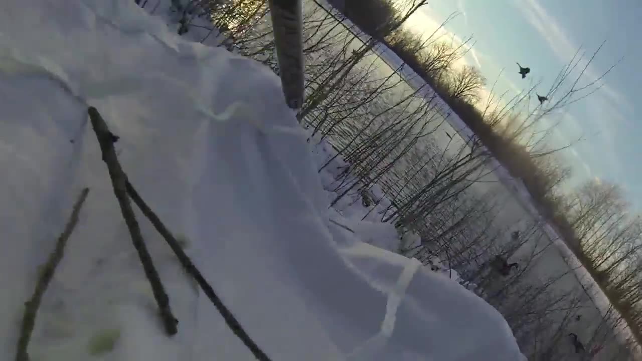 A Frozen Quarry Goose Hunt